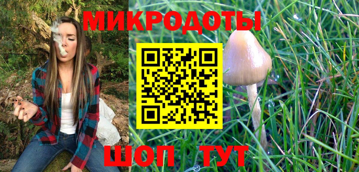 Заринск  Псилоцибиновые грибы мухоморы  Вход с VPN 