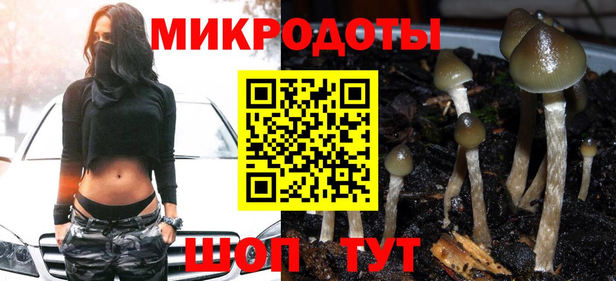Псилоцибиновые грибы ЛСД Заринск